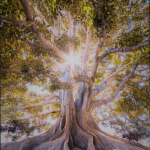 Soy uno con lo abundante